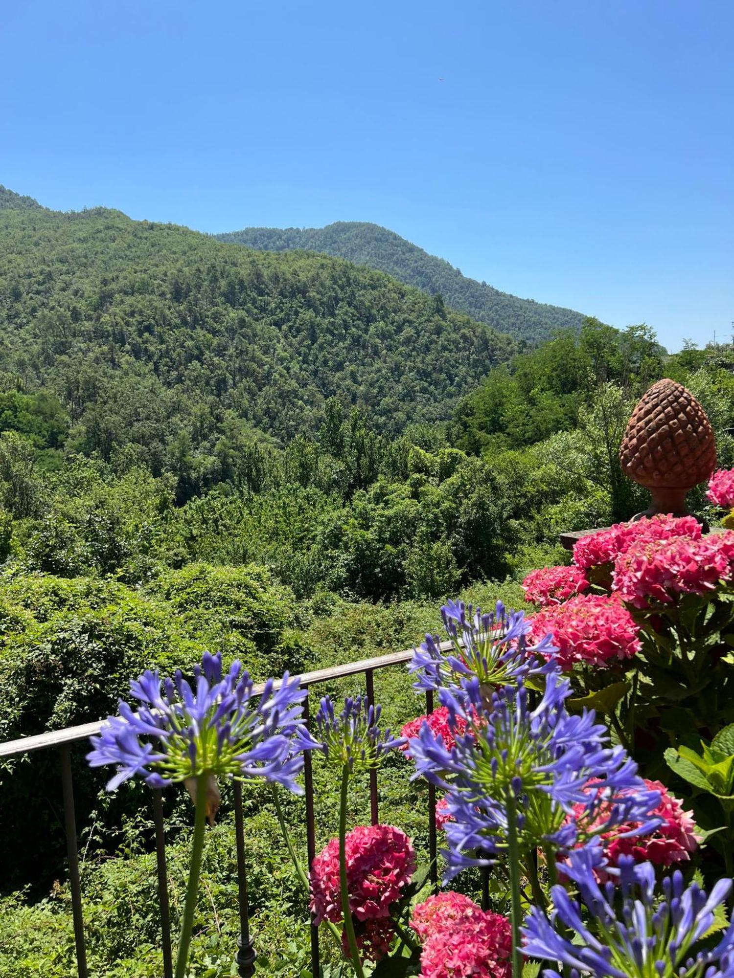 Casa Boru - A Beautiful Fully Restored Spacious House With Fantastic Views Holiday home *